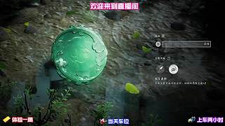 伙伴技能连招组合，短时间打出高额爆发伤害