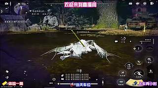 江南水乡绝佳取景位置，随手截图皆是风景