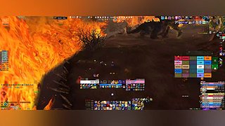 法琳娜DogBAON