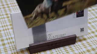 中二少女十七的直播间