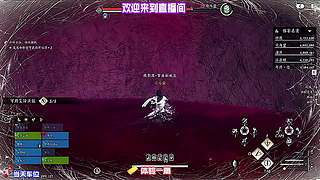 关注蹲直播，每日新鲜操作名场面