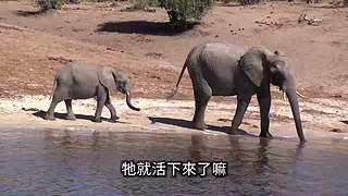 伴你入梦的娱乐科普
