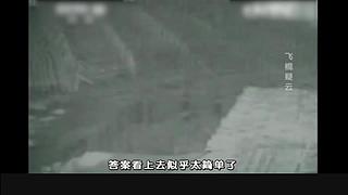 【牛叔2台】欢迎来到牛叔的悬疑世界