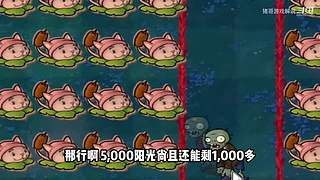 猪哥游戏解说的直播间