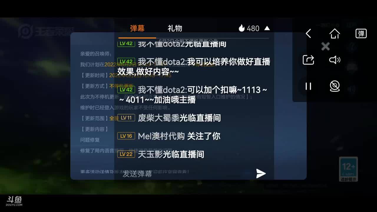 小菜鸟玩王者 10894129