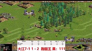 马师爷的直播间