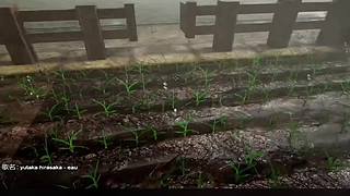 失眠症福音~~~~~~~~~~~