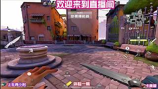 弹幕指挥我，听水友思路对局