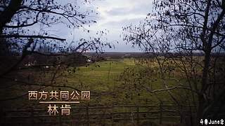 帝国时代4战役剧情