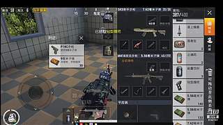 biubiubiu宠物