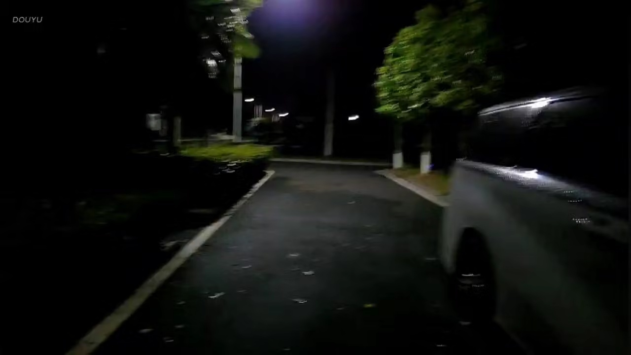 午后的风摇晃枝桠