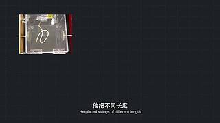 【毕导】数理化狂热爱好者