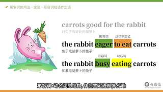 英语兔视频