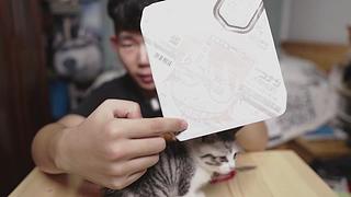 村长的直播间 9535866