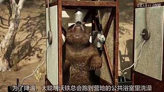 【蓝星人】颠覆你想象的神秘未解谜团