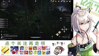 在下林凡，请指教！