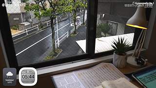 重生之奋发涂墙