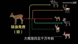 科学黑历史