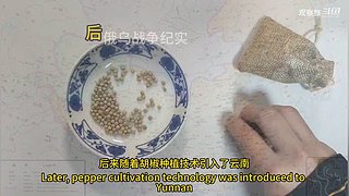 喜欢我的视频或想和我玩，请关注，打赏我哟