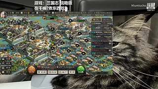 CS2熟悉熟悉官匹