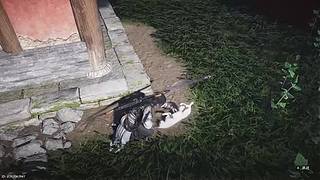 优势在我，有我无敌