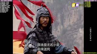 【经典剧场】经典武侠 动作 老剧你懂的
