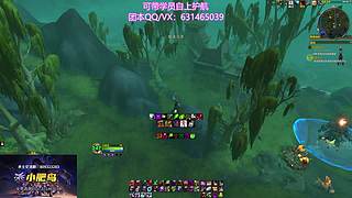 【项羽】备战烈毒之渊