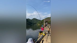 亮gnailux的直播间