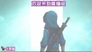 弹幕指挥我，听水友思路对局