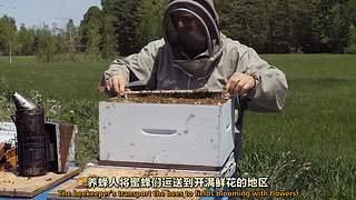 看遍世界各地的纪录片