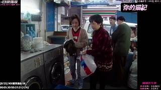 ⌯猫记⌯你的宝藏煲剧间