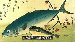 科学黑历史