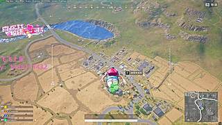 乖乖快来打游戏啦！！