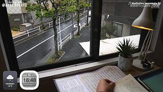 重生之奋发涂墙