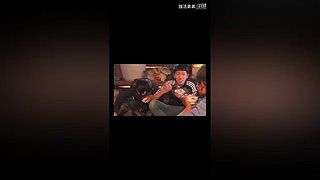 冲击世界排行榜