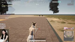 PUBG/酸角洲都可（有位）