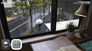 重生之奋发涂墙