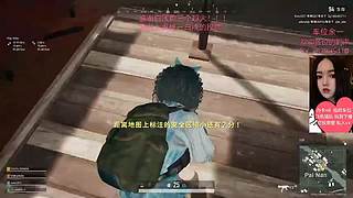 随便玩玩，听歌来