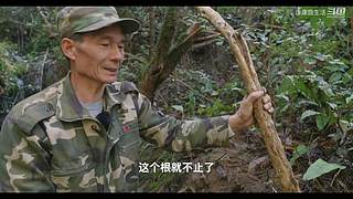 娱乐大于一切 10440627