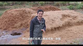 娱乐大于一切 10440627