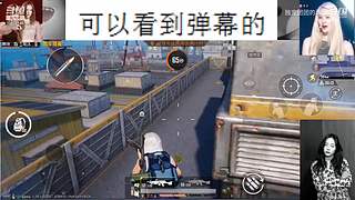 新人，第一天！