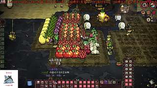 （录播）7月来啦！
