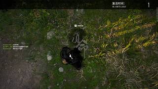 火罗国来喽