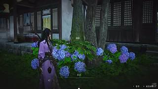 很久没播了，玩玩新游戏 11713795