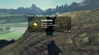 随便玩玩123 123