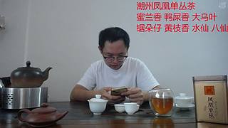 潮州凤凰单丛茶