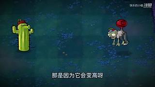 宝子们，开席了！