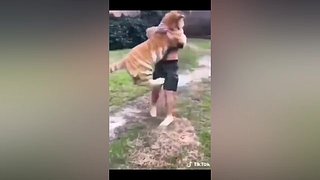 【亚巴拉辛巴】搞笑+游戏