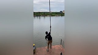 亮gnailux的直播间