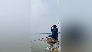 亮gnailux的直播间